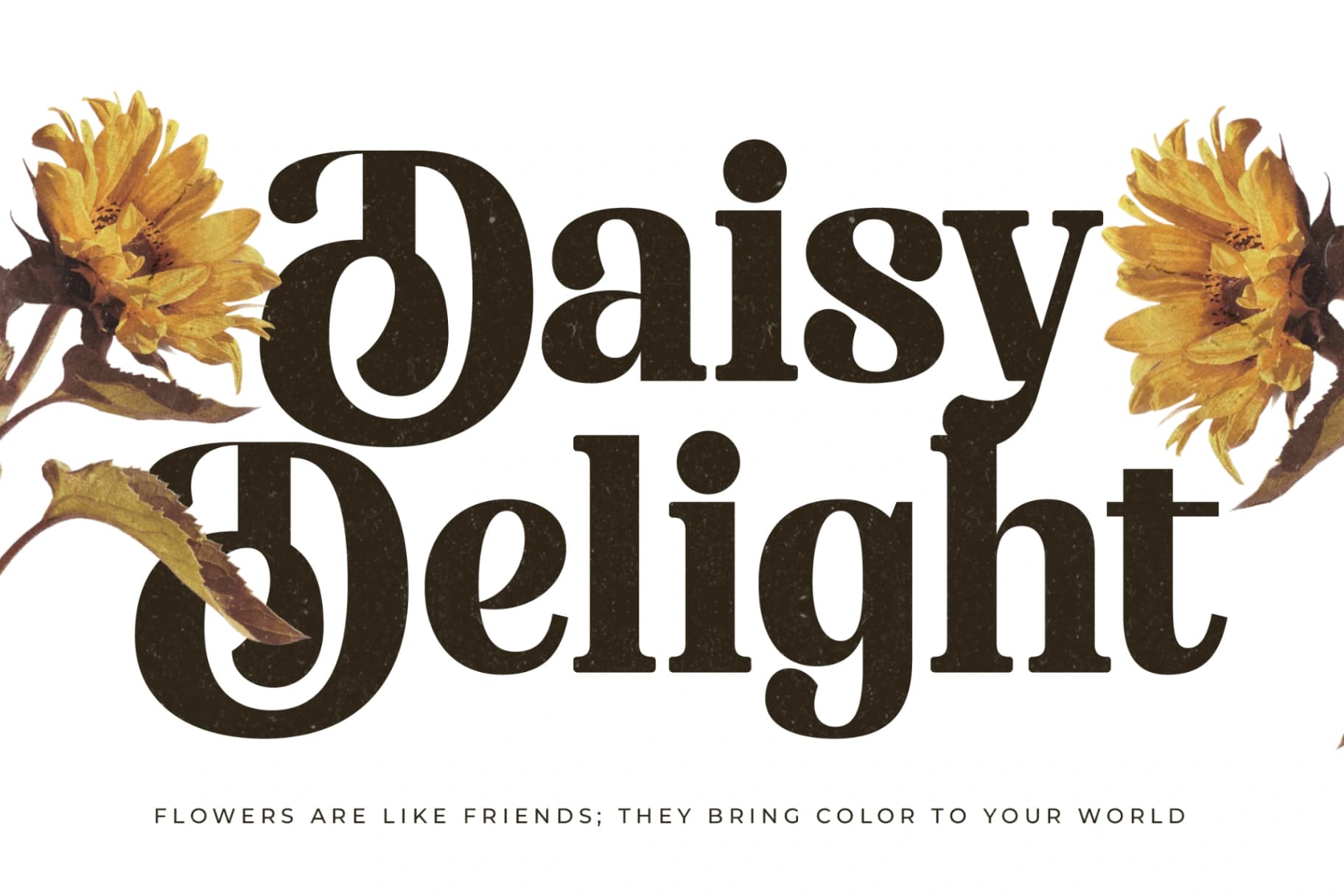 Preview 12 for Nofiani Katrie - Modern Alternate Serif