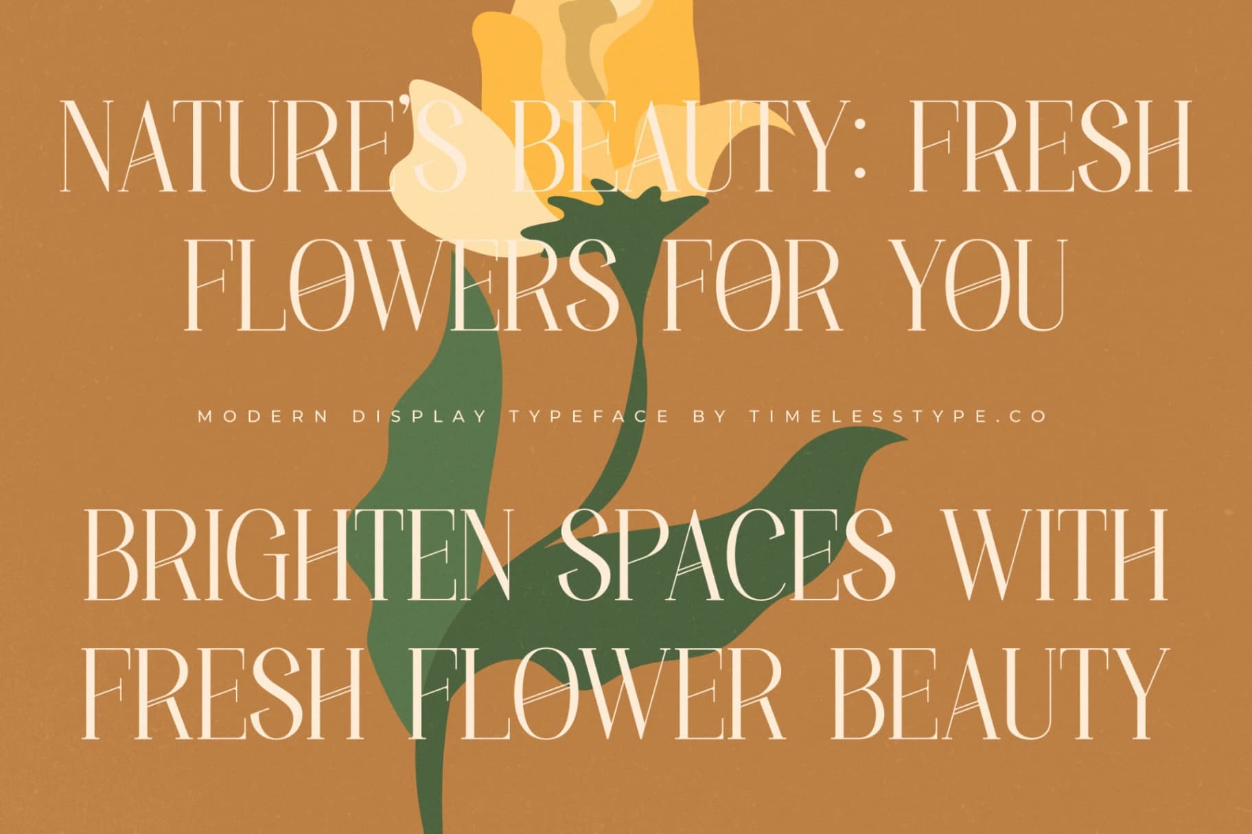 Preview 7 for Holdmen Paradise - Modern Display Typeface
