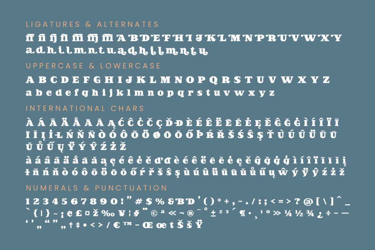 Jofjin Vikar - Serif Display Font font preview 19