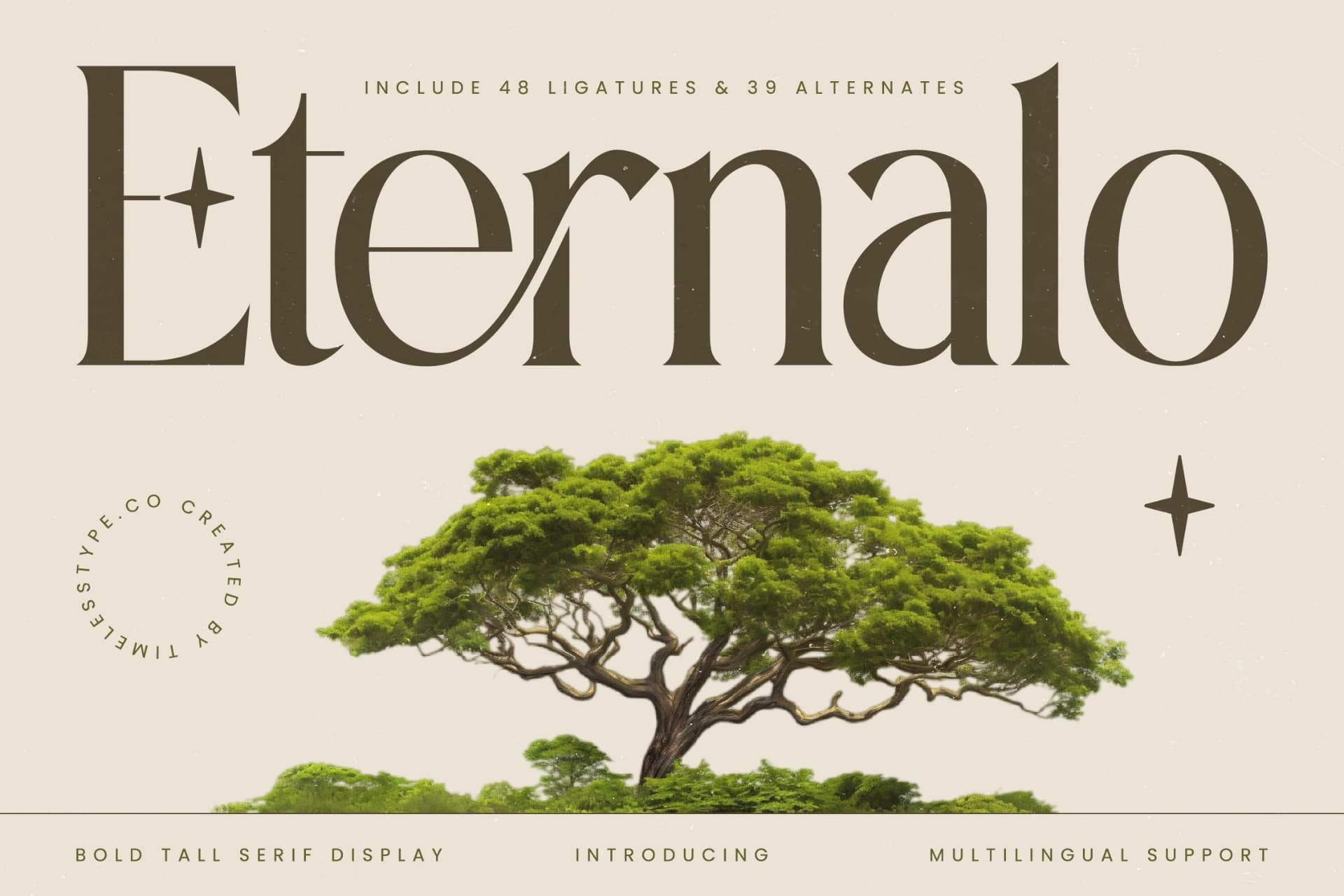 Preview 1 for Eternalo - Bold Tall Serif Display