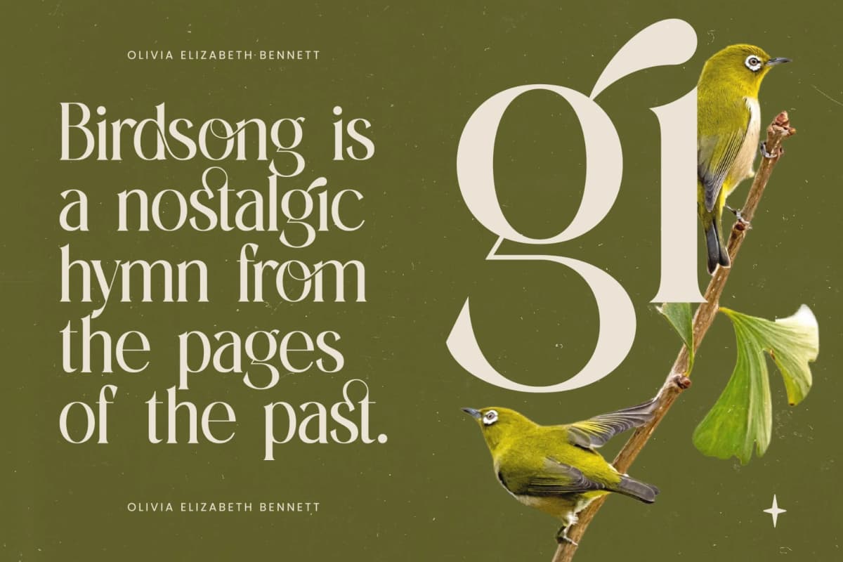Eternalo - Bold Tall Serif Display font preview 5