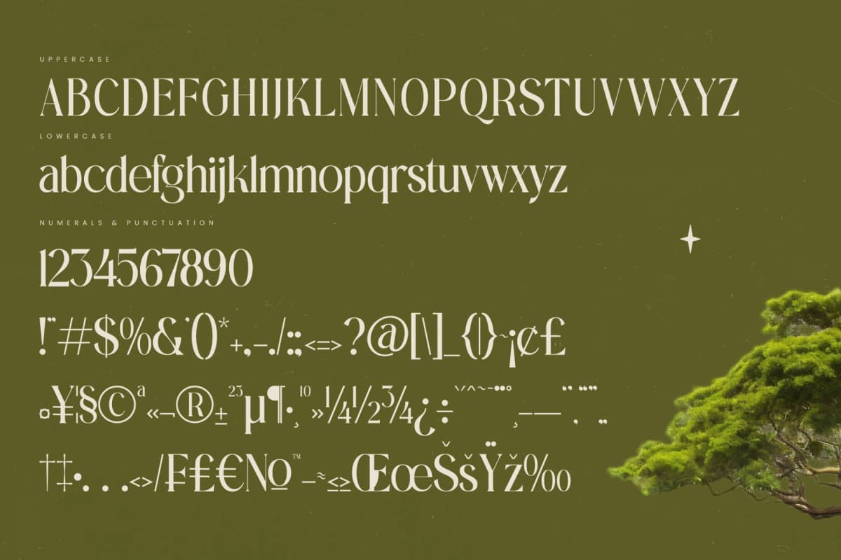 Eternalo - Bold Tall Serif Display font preview 18