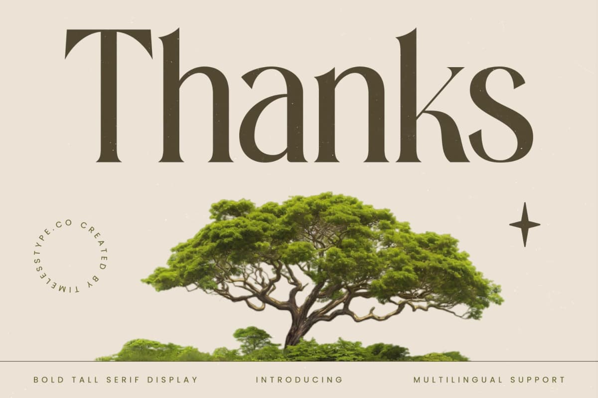 Eternalo - Bold Tall Serif Display font preview 20