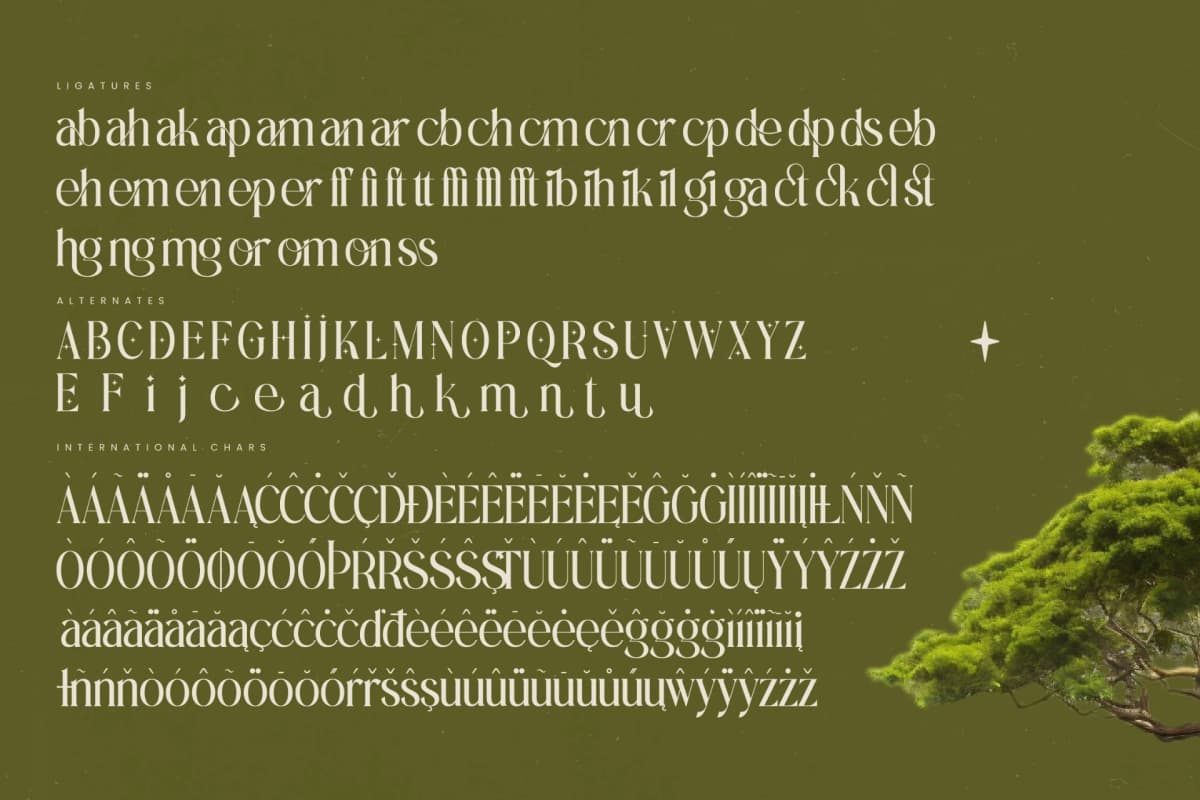 Eternalo - Bold Tall Serif Display font preview 19