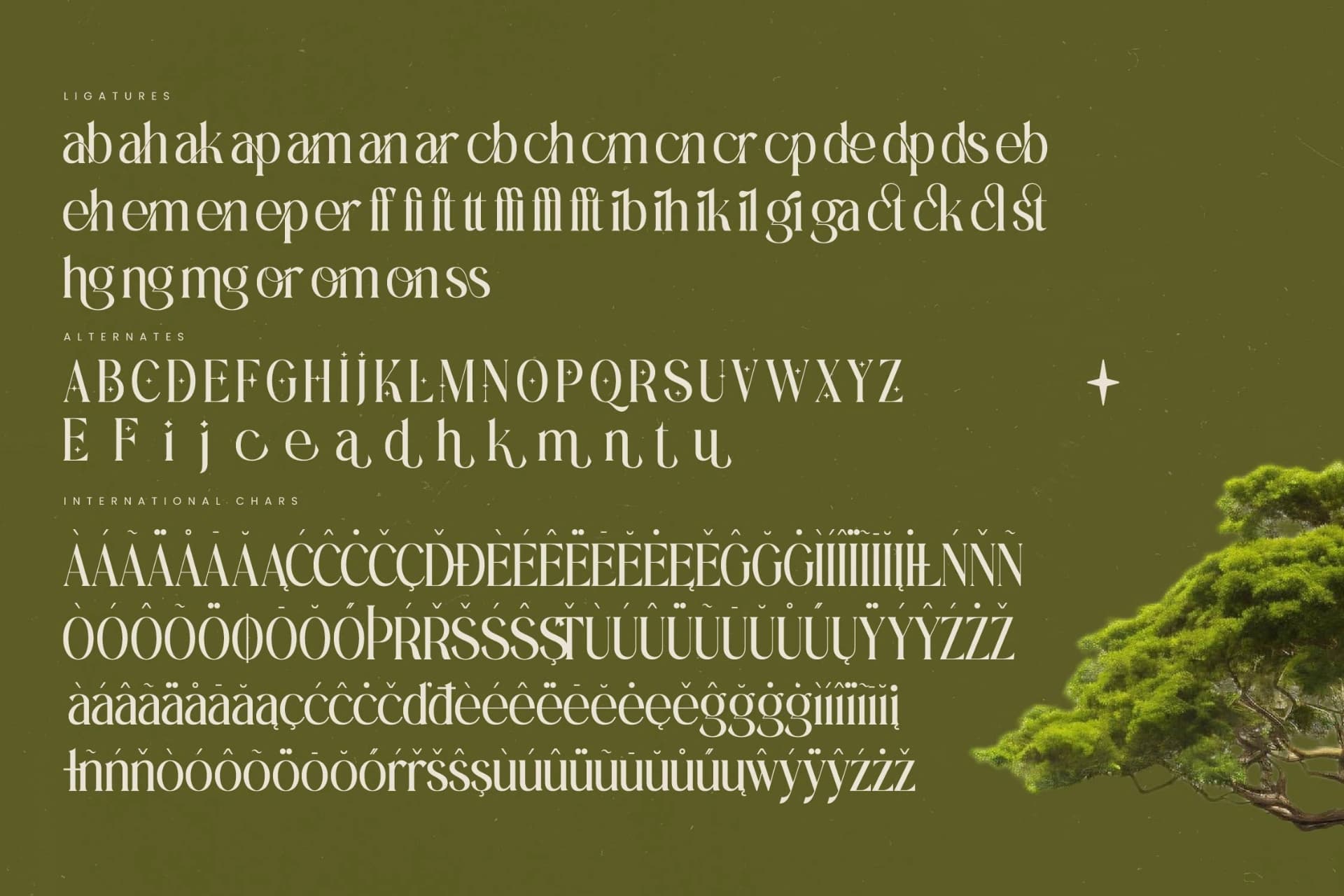 Preview 19 for Eternalo - Bold Tall Serif Display
