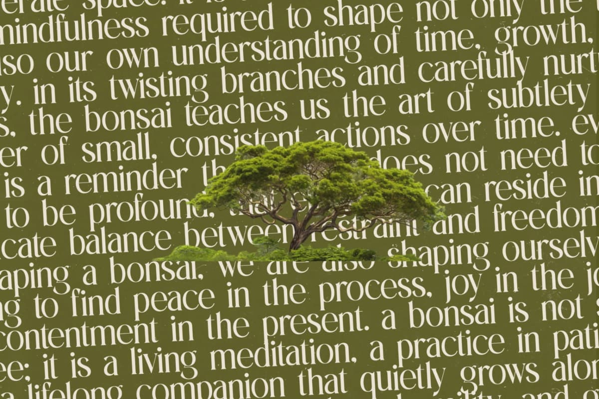 Eternalo - Bold Tall Serif Display font preview 16