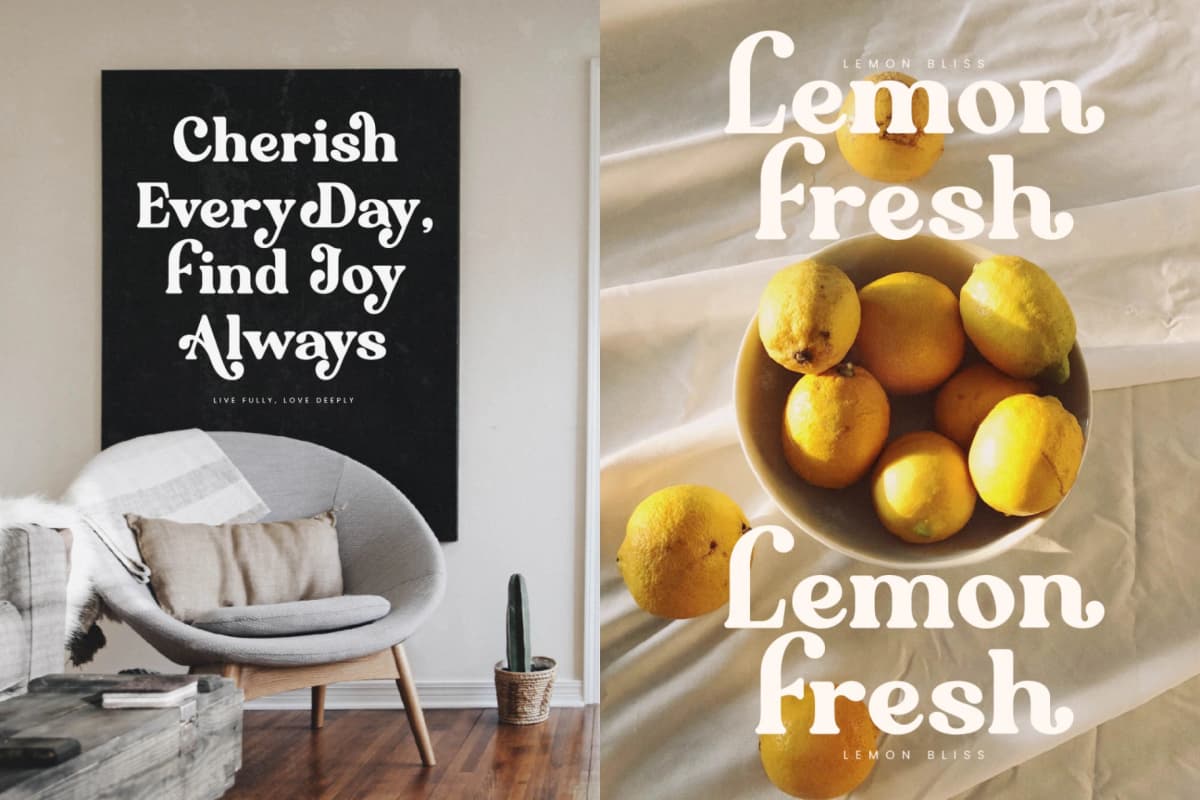 Majesty Regilast - Modern Serif Font font preview 8