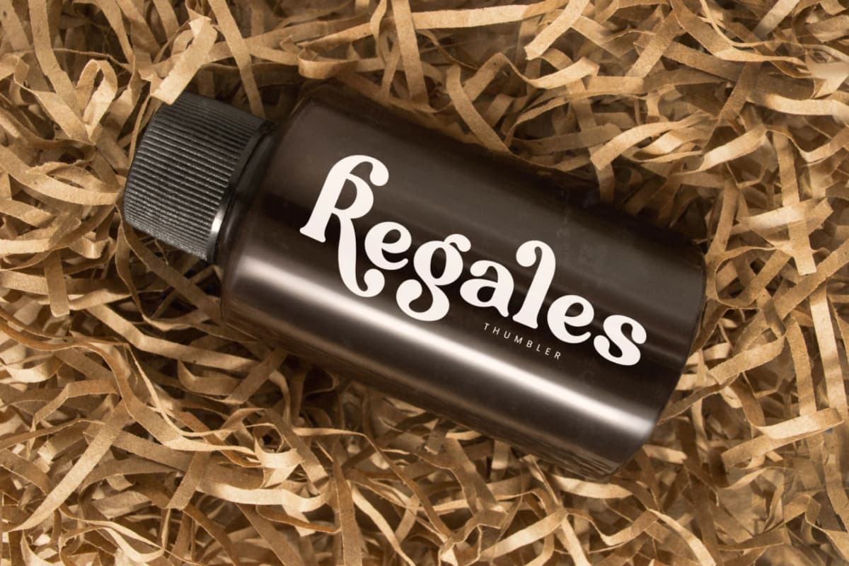 Majesty Regilast - Modern Serif Font font preview 14