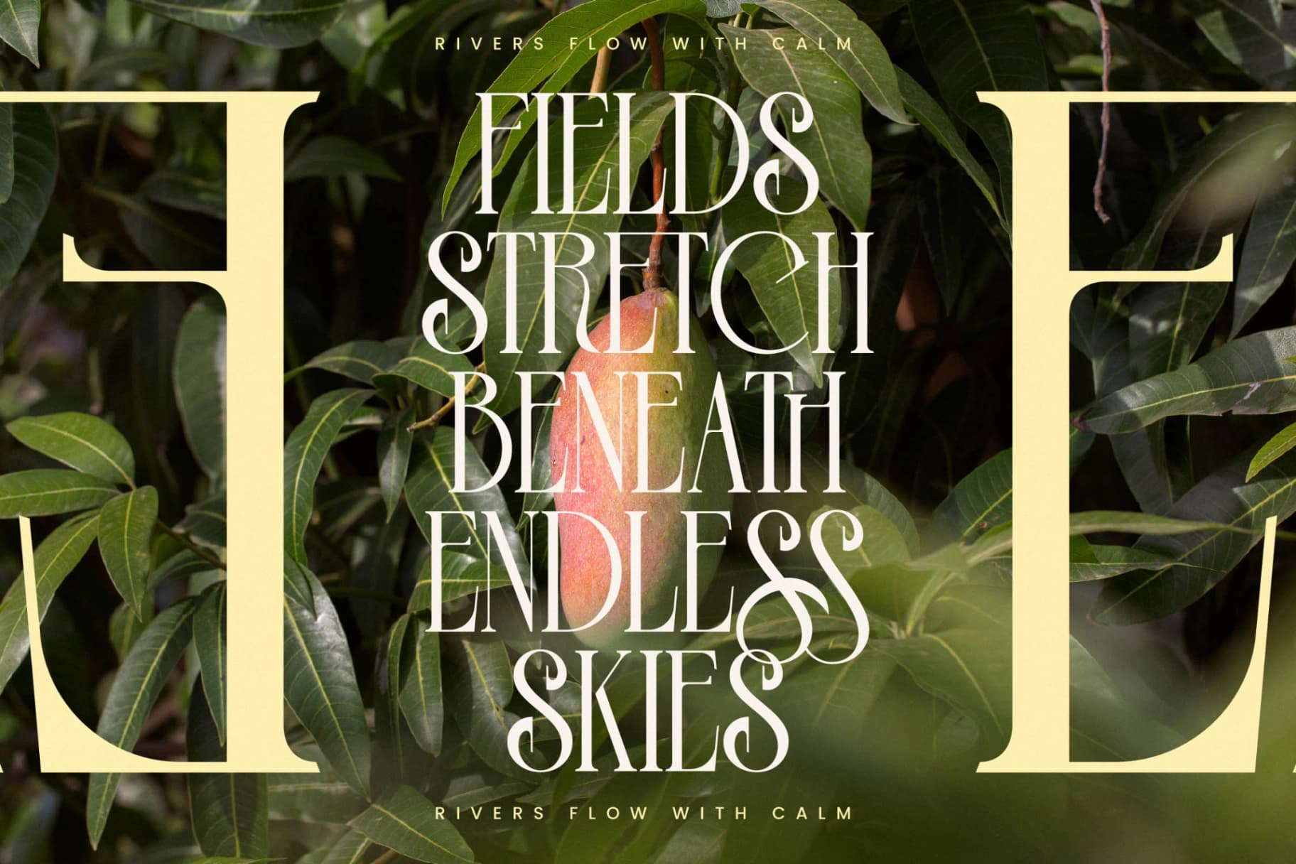Preview 8 for Leodarck - Modern Display Typeface