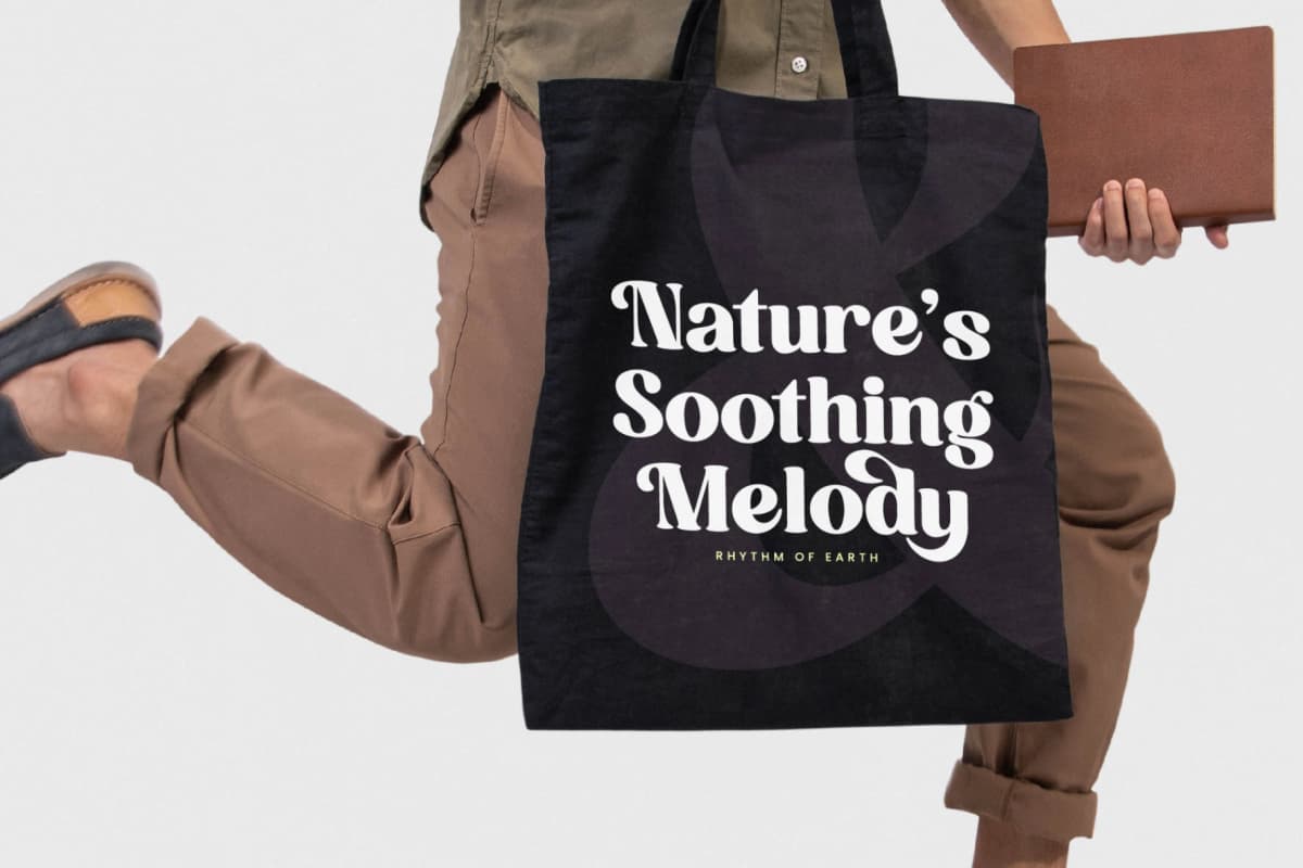 Mathreal - Modern Alternate Serif Font font preview 13