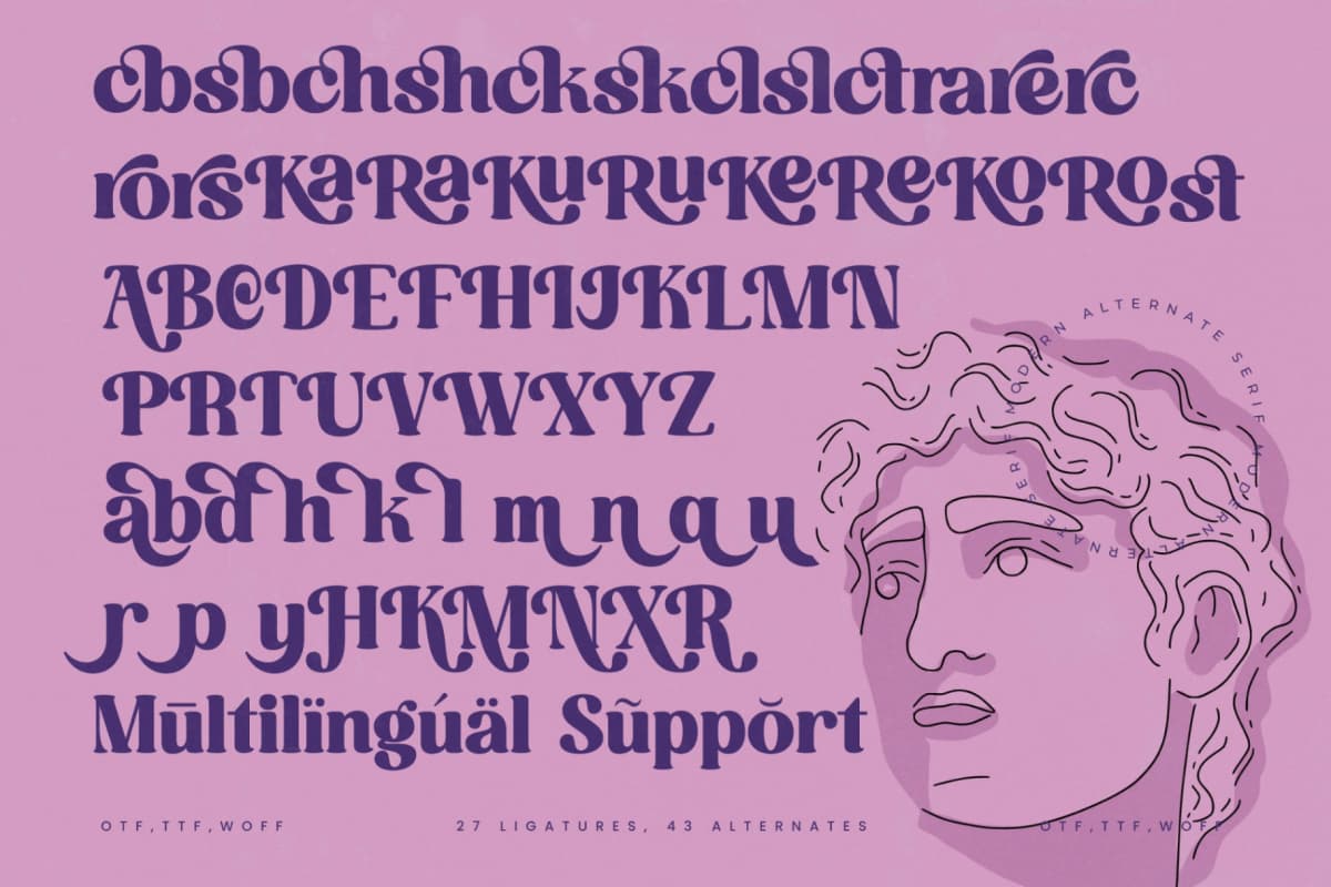Mathreal - Modern Alternate Serif Font font preview 19