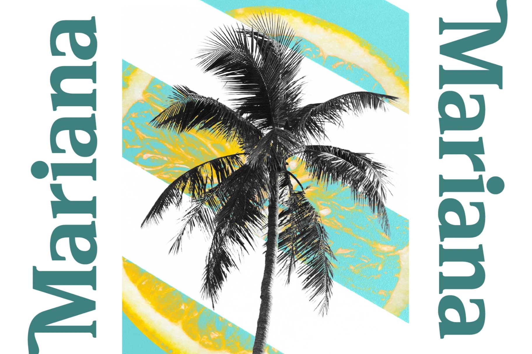 Preview 8 for Neutral Trends - Modern Display Serif Font