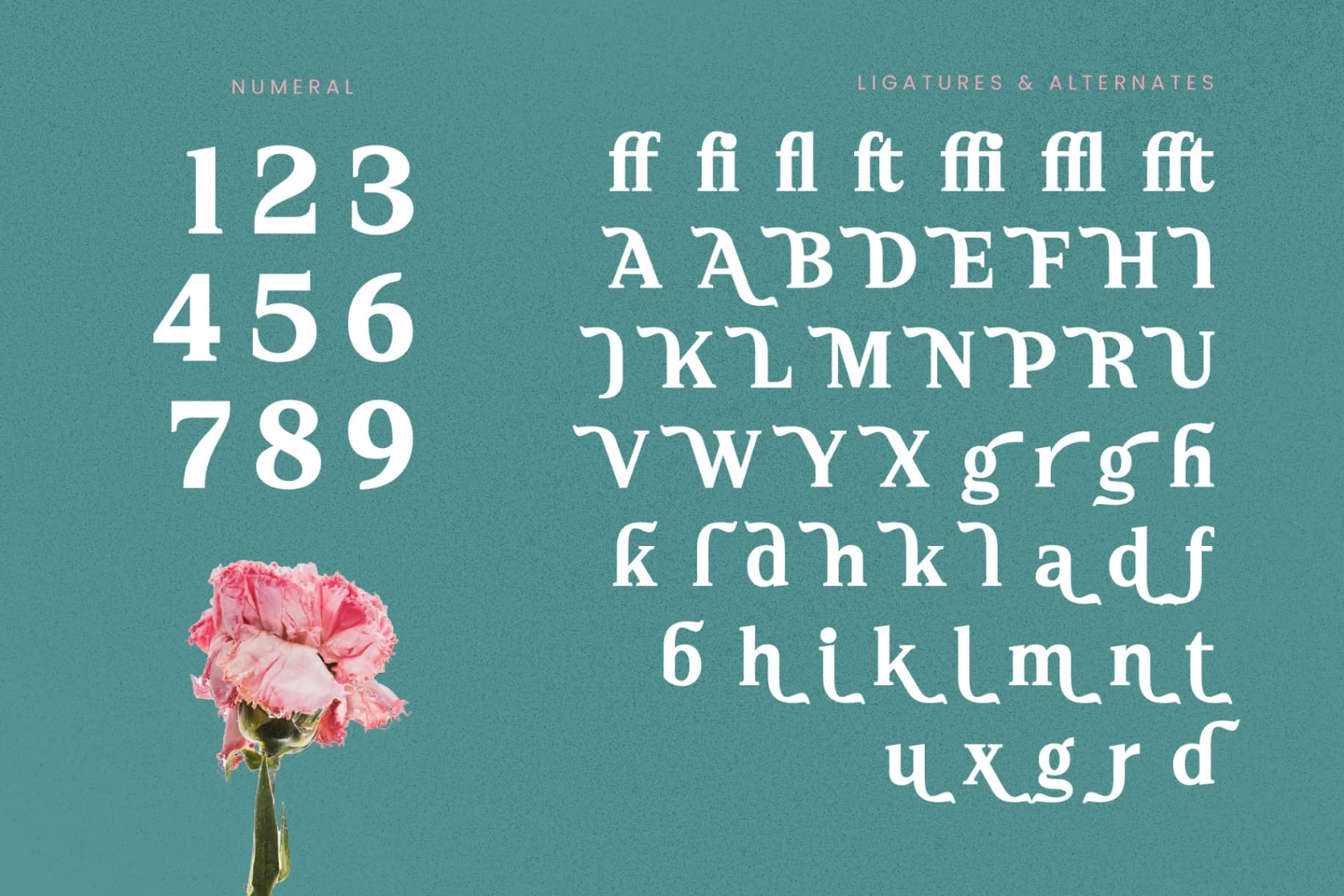 Preview 18 for Neutral Trends - Modern Display Serif Font