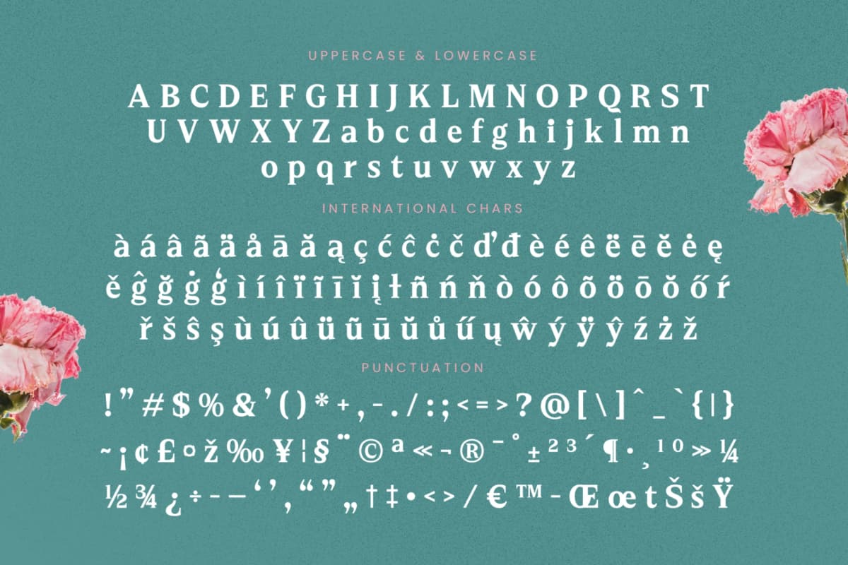 Neutral Trends - Modern Display Serif Font font preview 19
