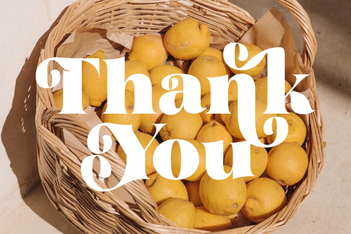 Garden Rosila - Modern Retro Serif Font font preview 20