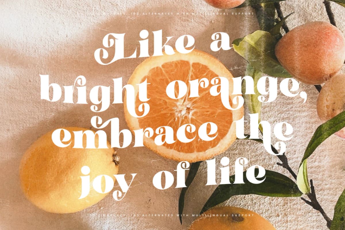 Garden Rosila - Modern Retro Serif Font font preview 4