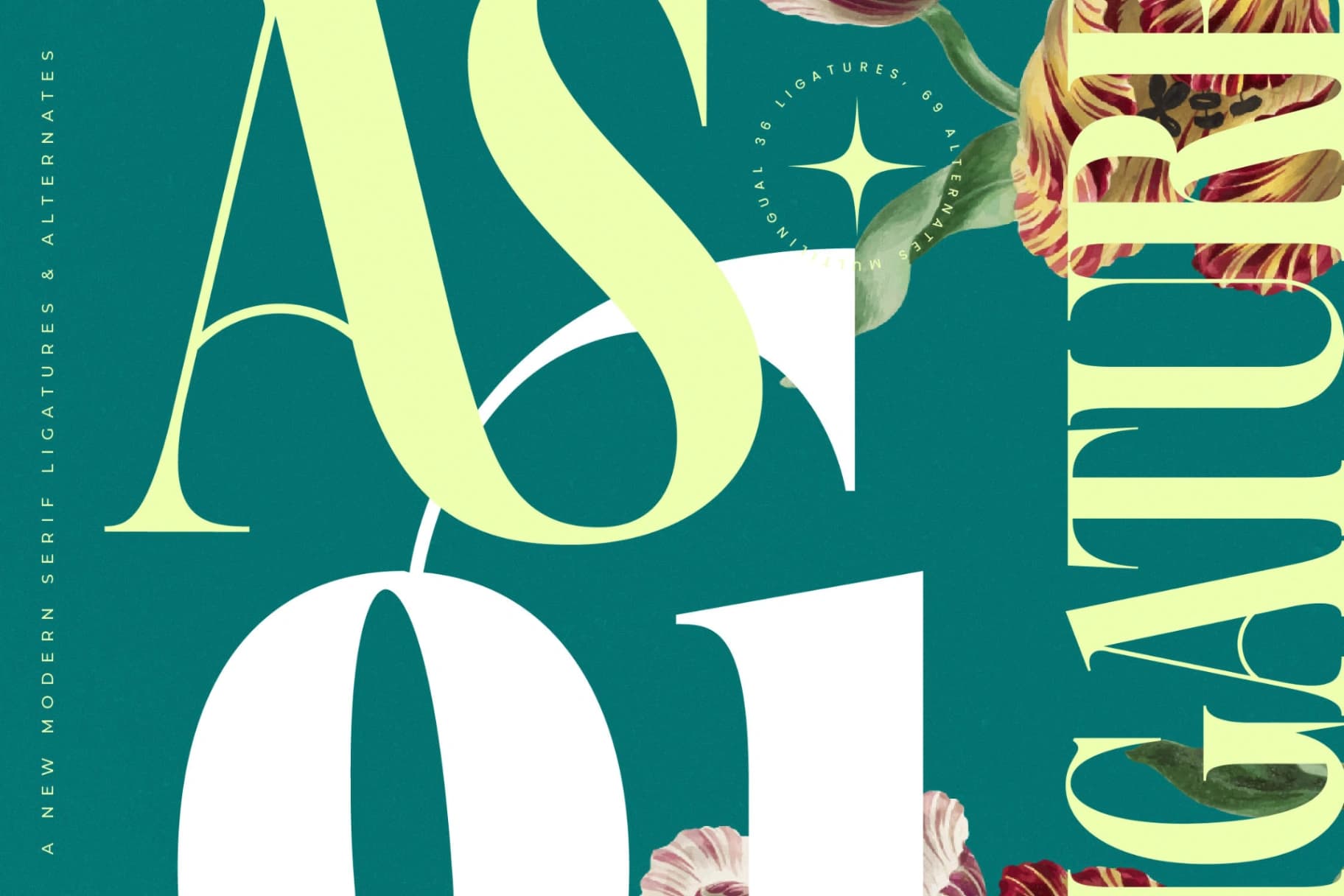 Preview 9 for Magiction - New Modern Serif Font