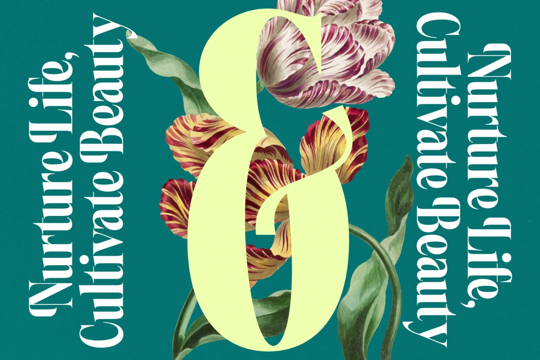 Preview 13 for Magiction - New Modern Serif Font