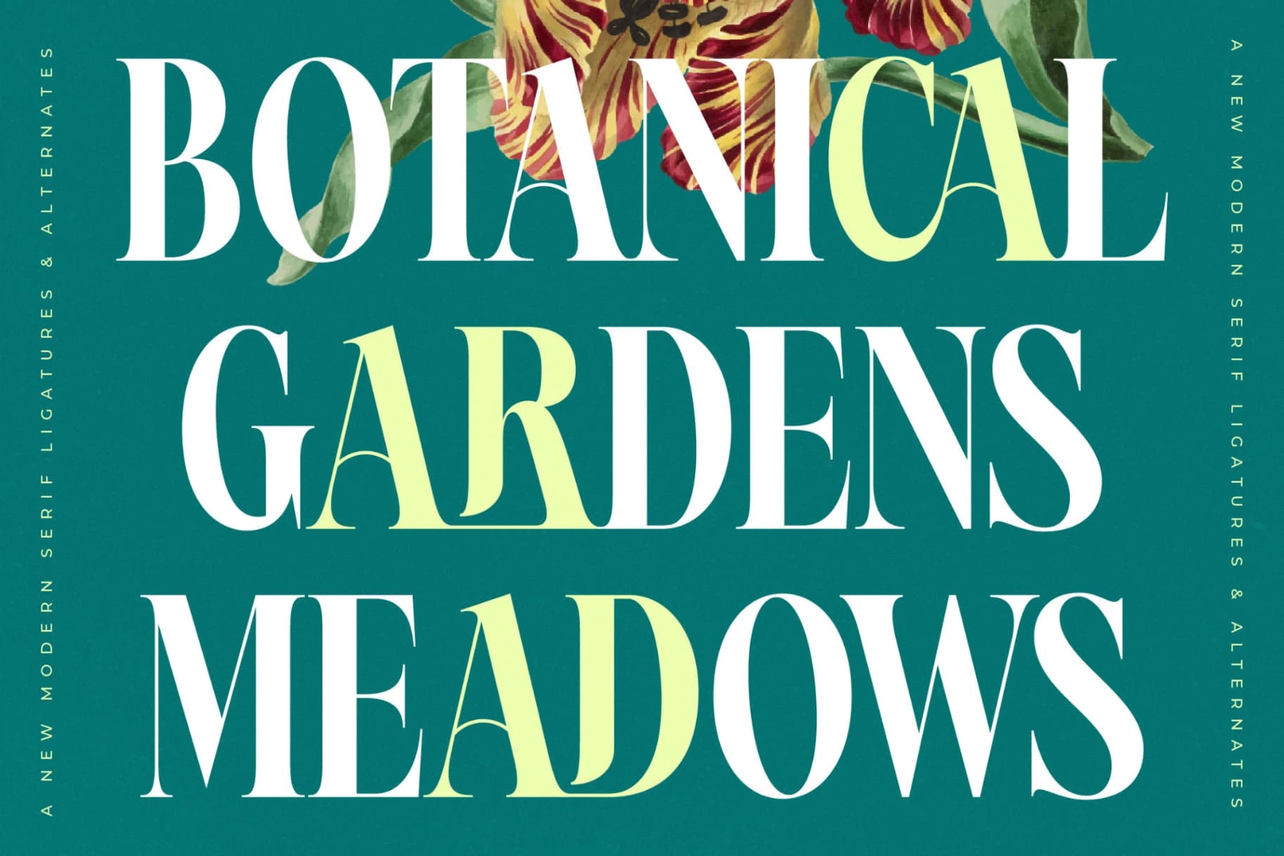 Preview 7 for Magiction - New Modern Serif Font