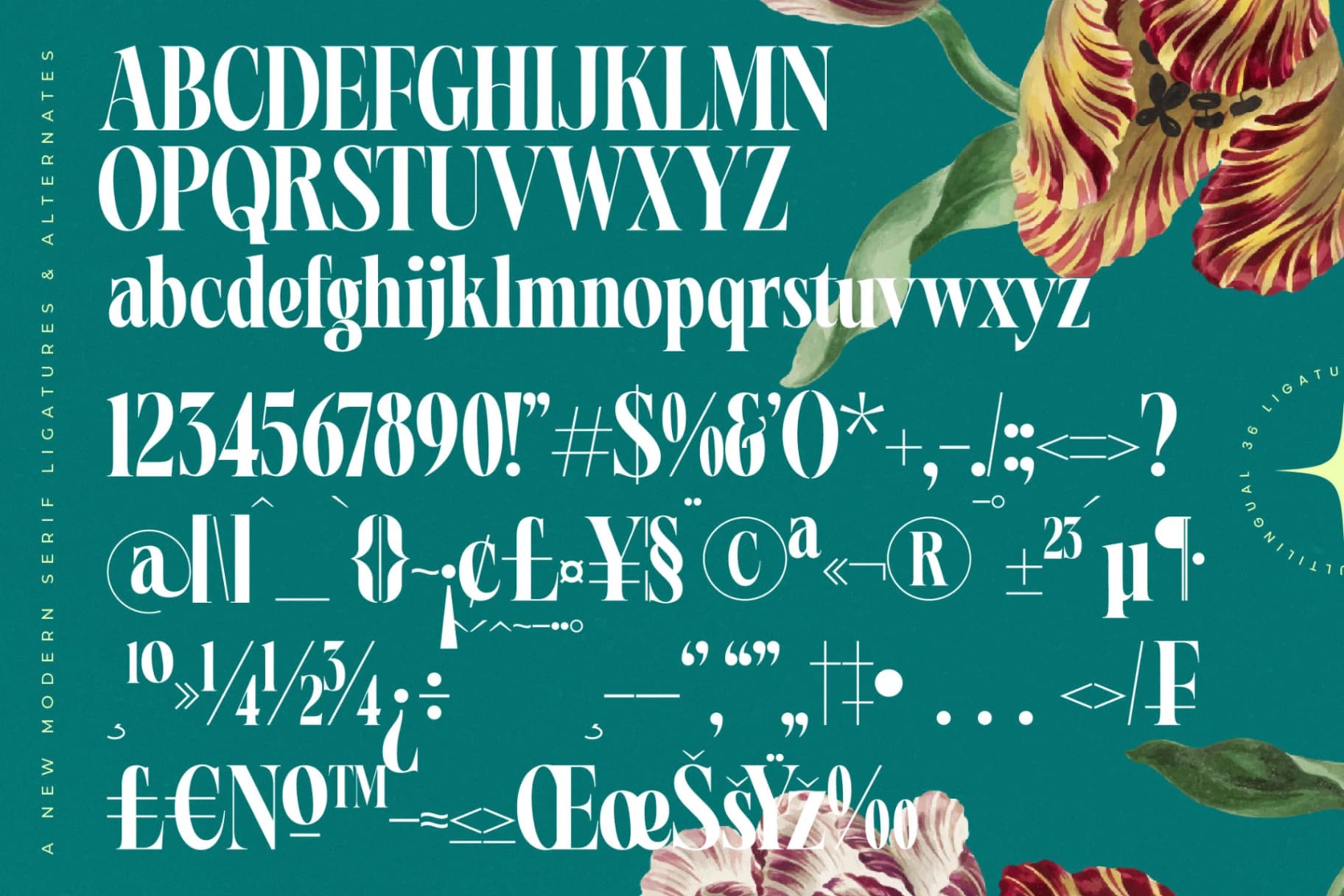 Preview 18 for Magiction - New Modern Serif Font