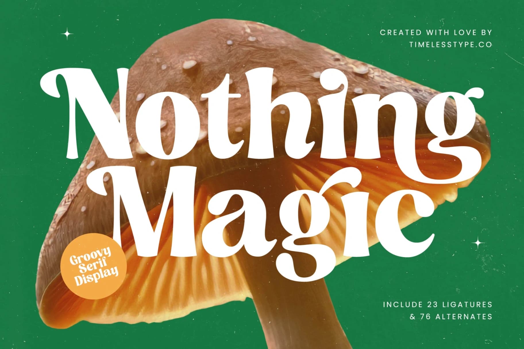 Preview 1 for Nothing Magic - Groovy Serif Display
