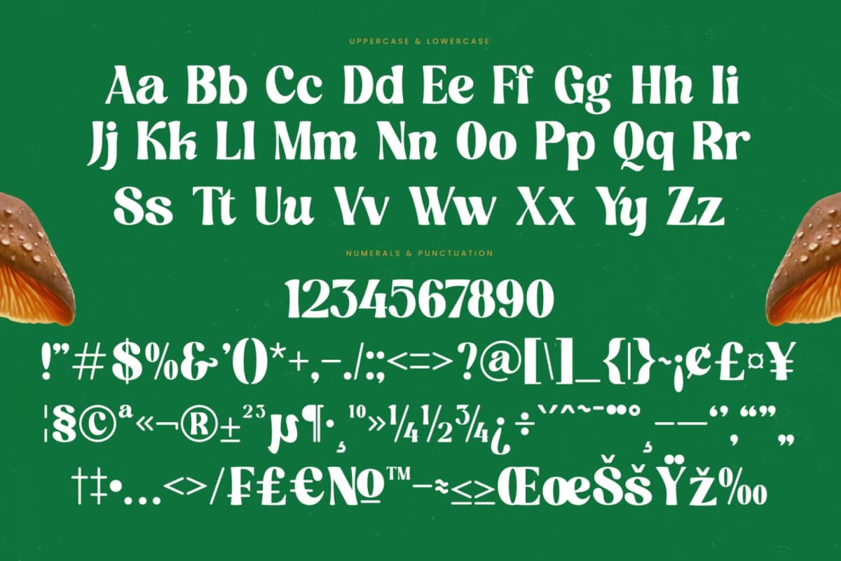 Nothing Magic - Groovy Serif Display font preview 18