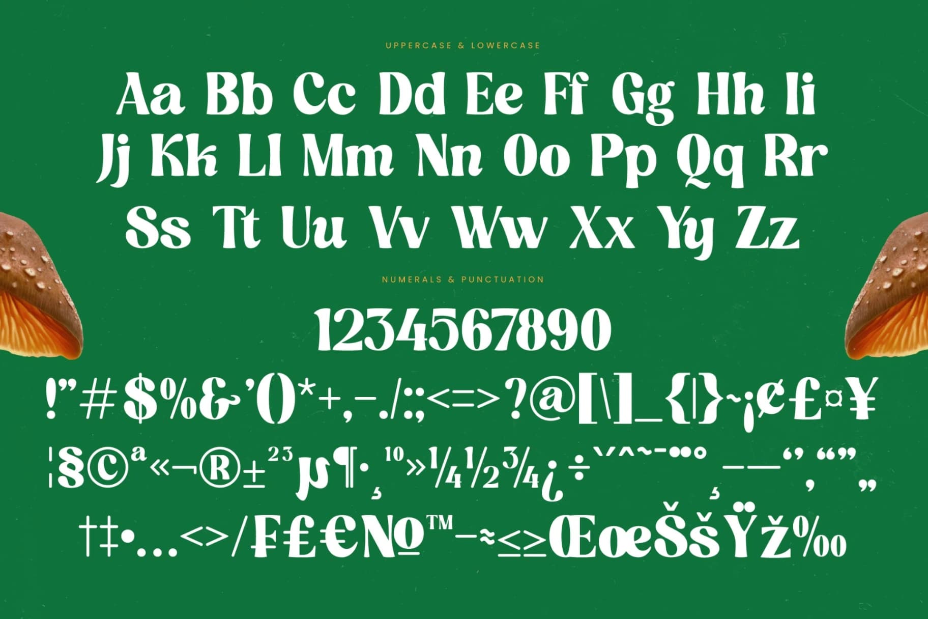 Preview 18 for Nothing Magic - Groovy Serif Display
