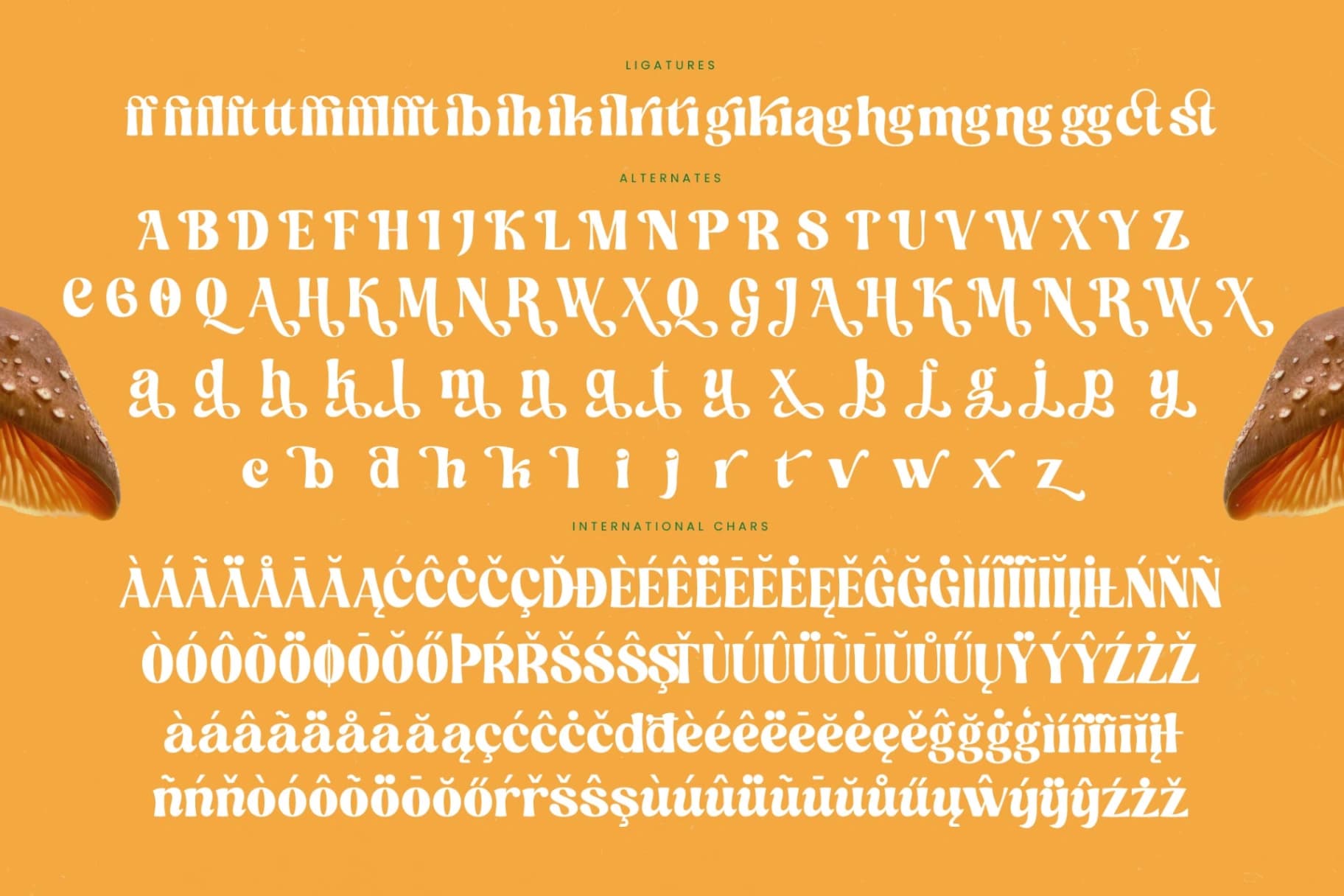 Preview 19 for Nothing Magic - Groovy Serif Display