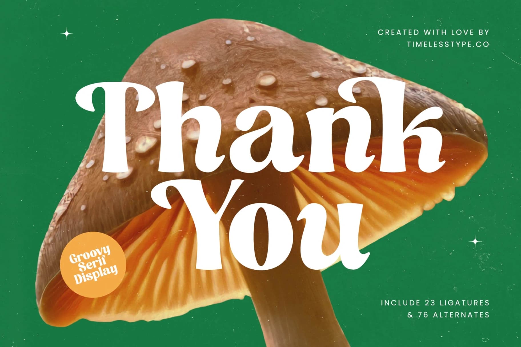 Preview 20 for Nothing Magic - Groovy Serif Display