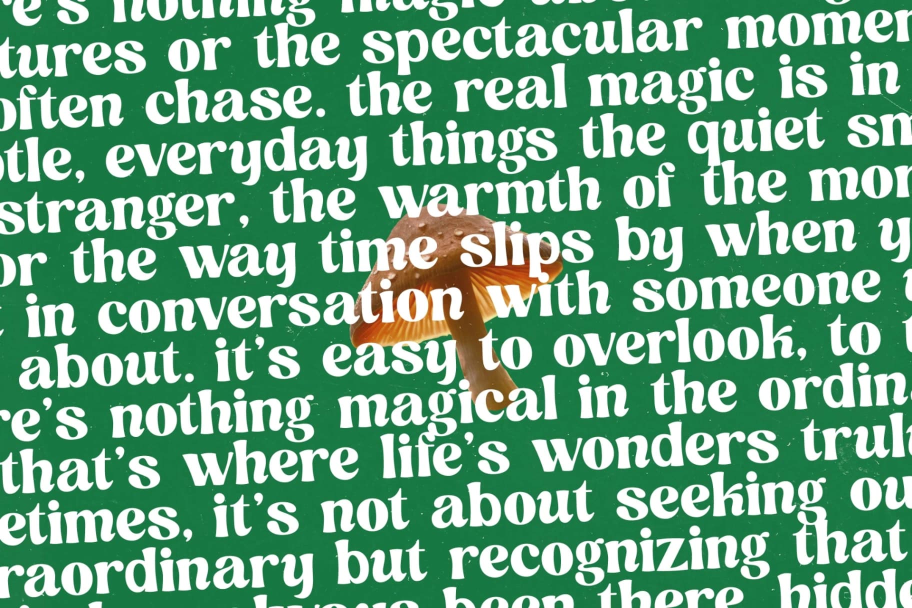 Preview 13 for Nothing Magic - Groovy Serif Display