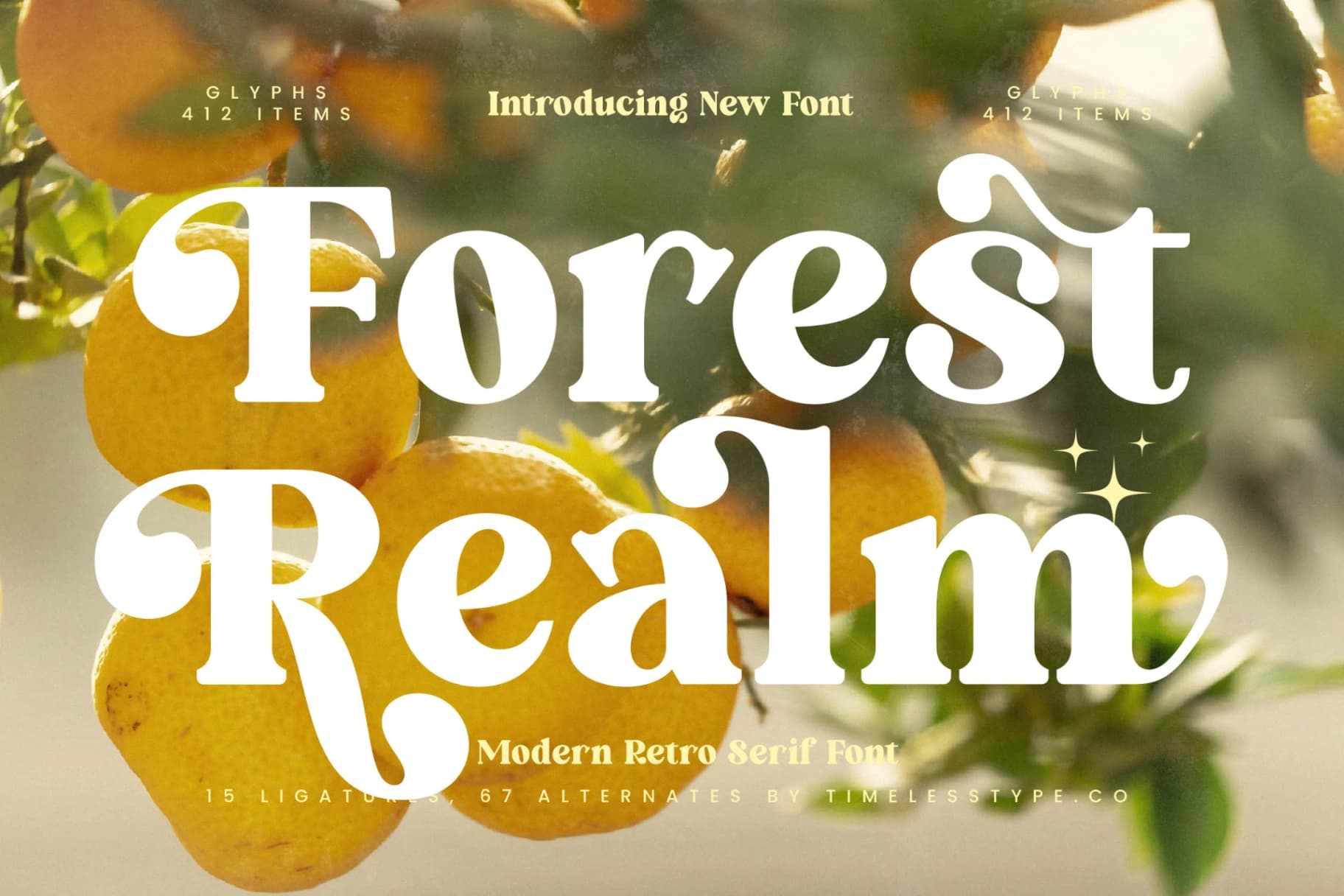 Preview 1 for Forest Realm - Modern Retro Serif Font