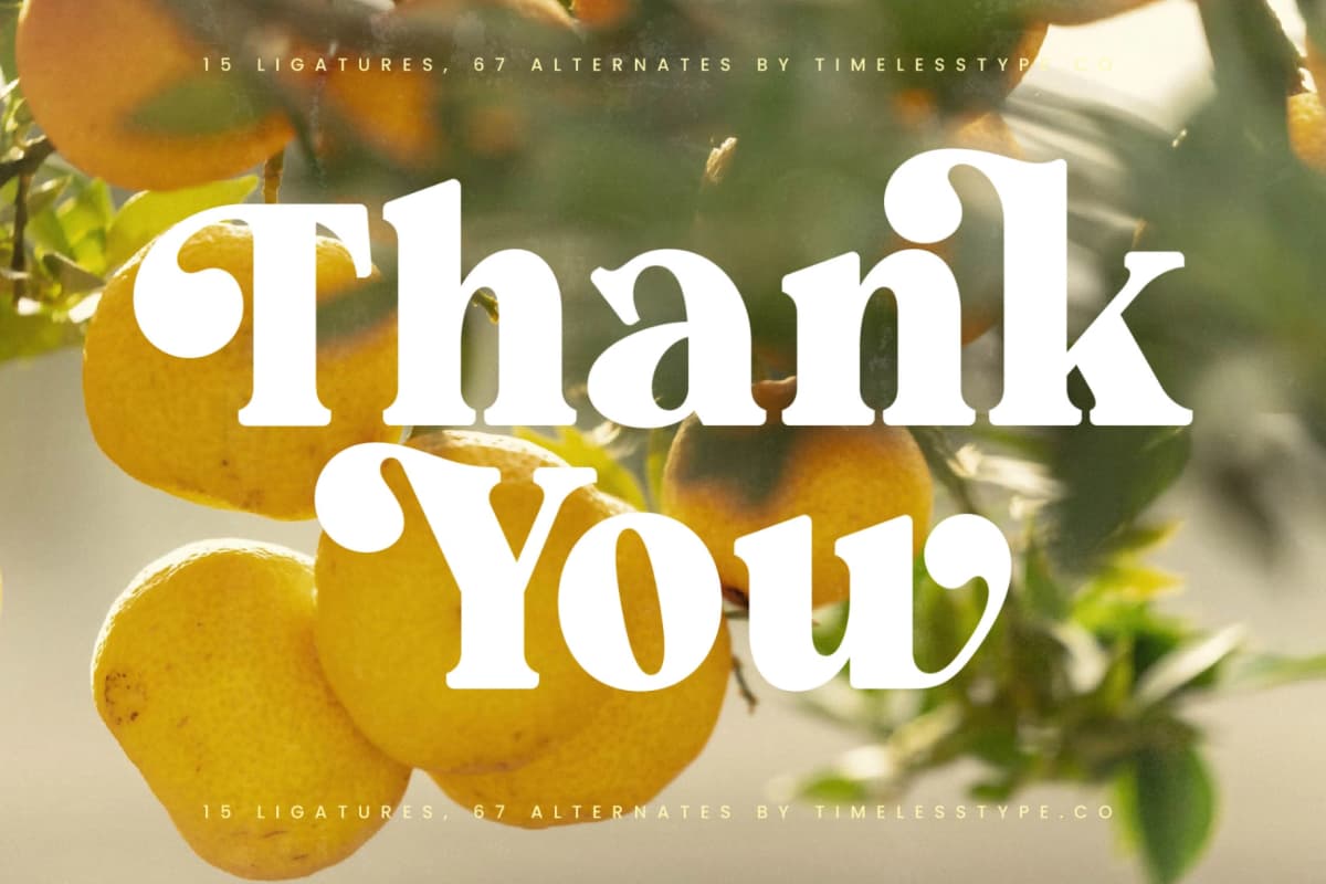 Forest Realm - Modern Retro Serif Font font preview 20