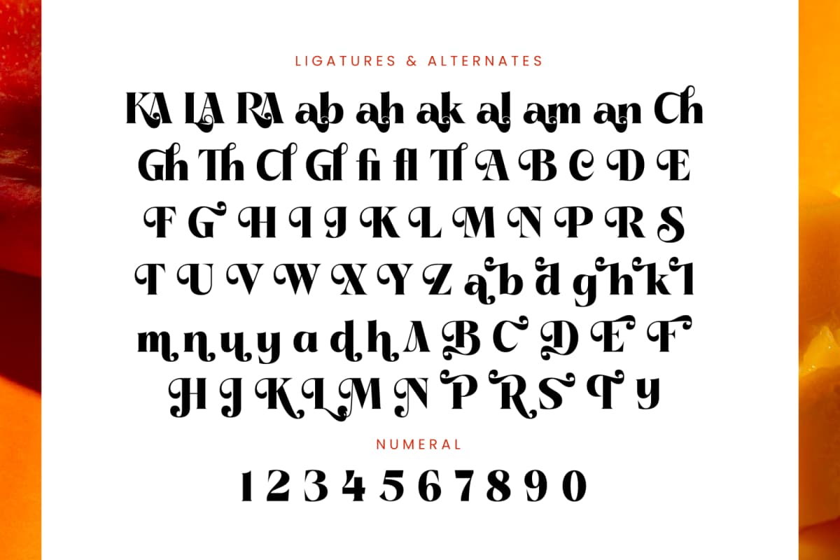 Pramid Mango - Display Serif Font font preview 18