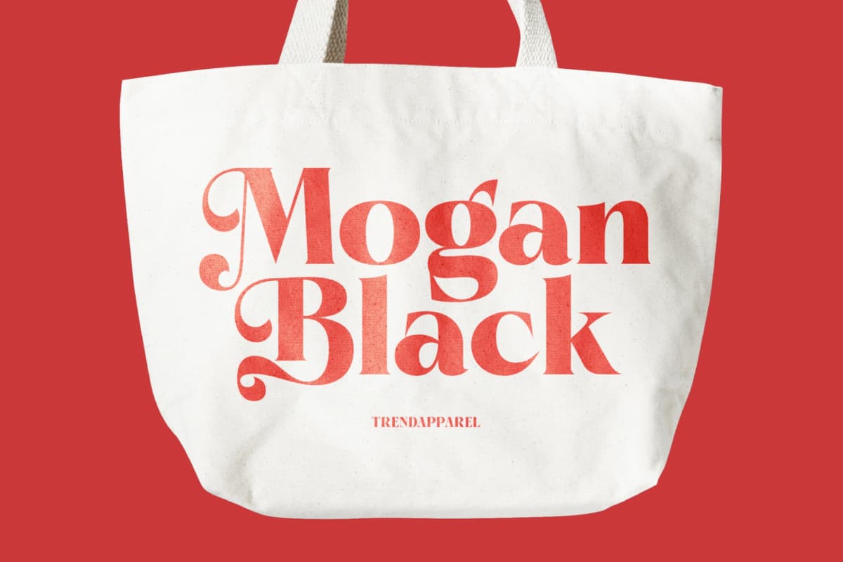 Pramid Mango - Display Serif Font font preview 11