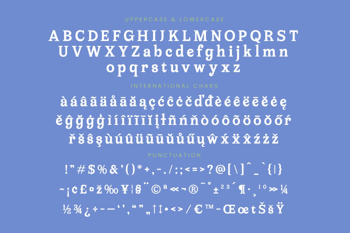 Meridi Rolitud - Modern Alternate Serif font preview 19