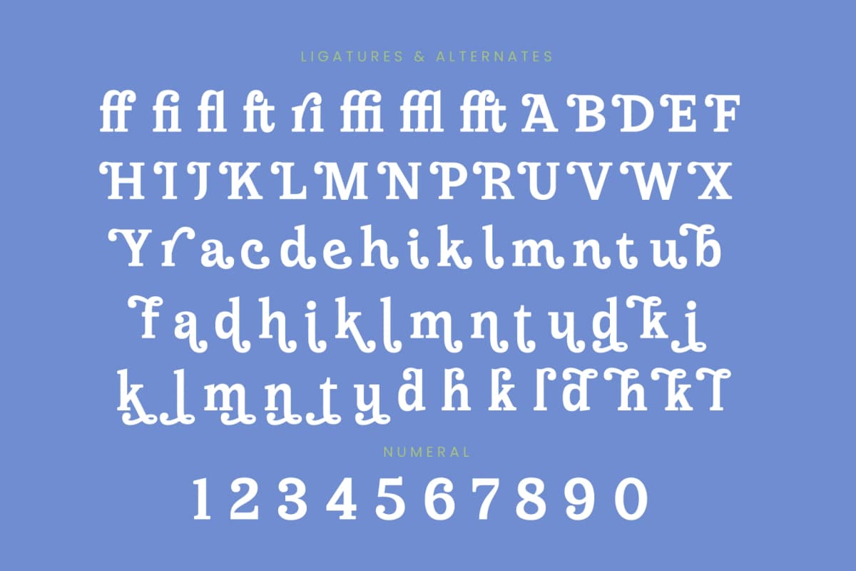 Meridi Rolitud - Modern Alternate Serif font preview 18