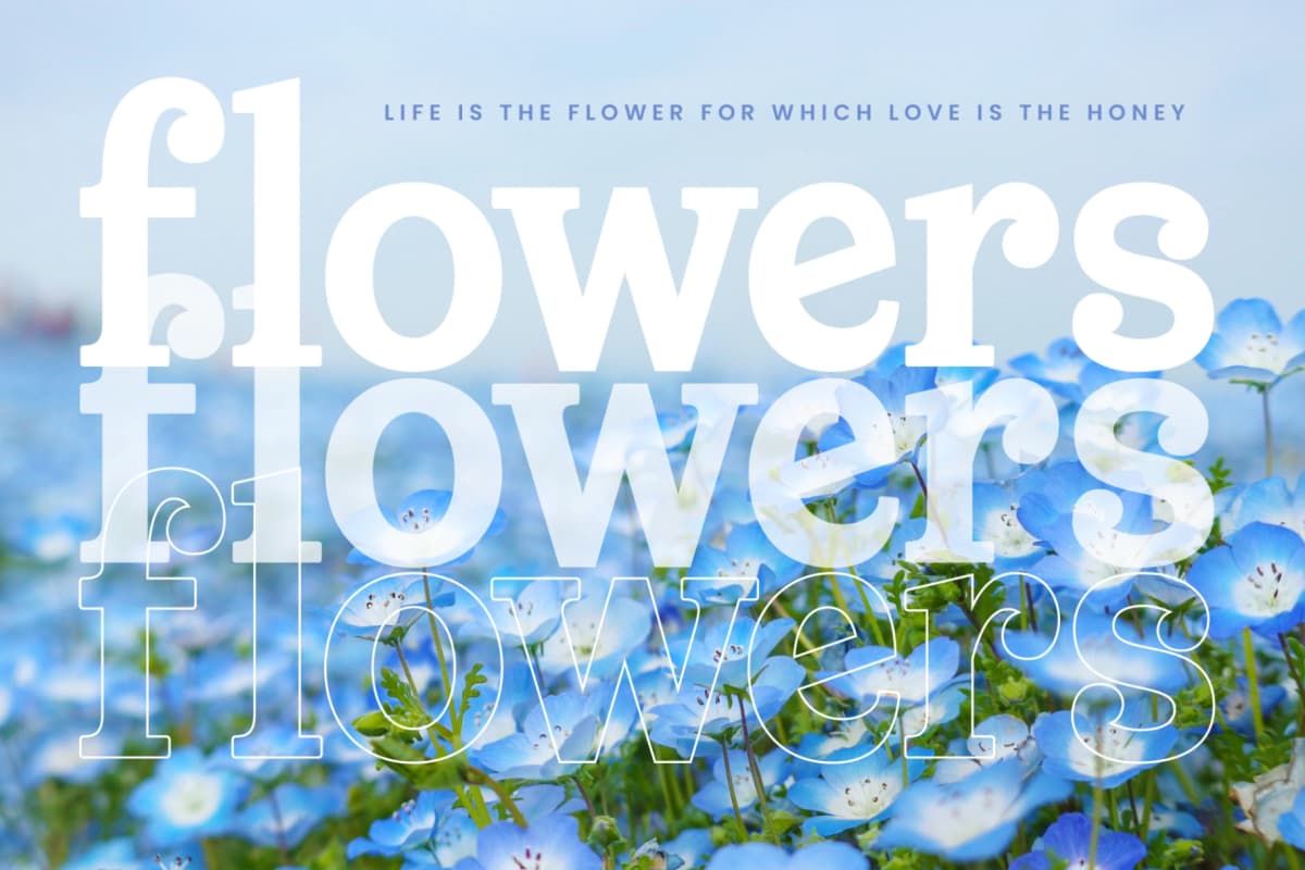 Meridi Rolitud - Modern Alternate Serif font preview 12
