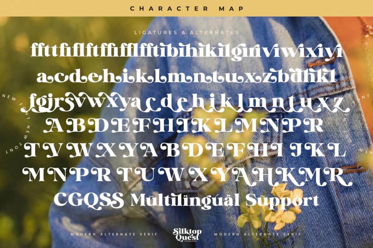 Silktop Quest - Modern Alternate Serif font preview 19