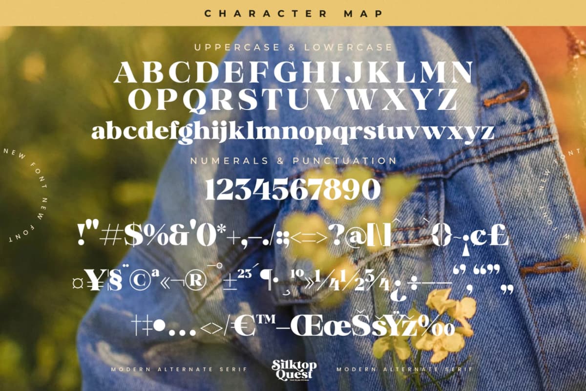 Silktop Quest - Modern Alternate Serif font preview 18