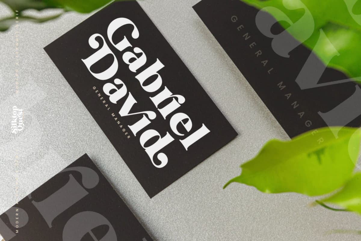 Silktop Quest - Modern Alternate Serif font preview 10