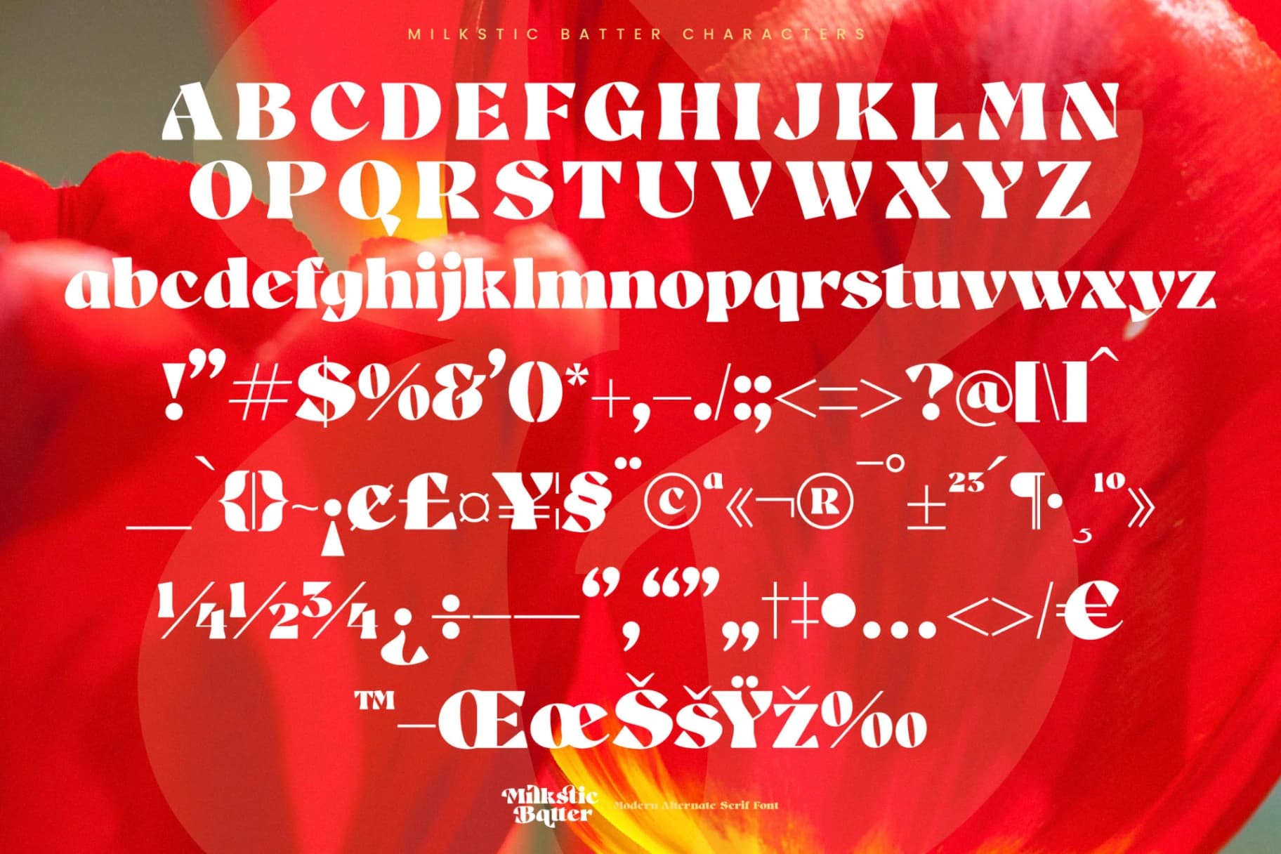 Preview 18 for Milkstic Batter - Modern Alternate Serif Font