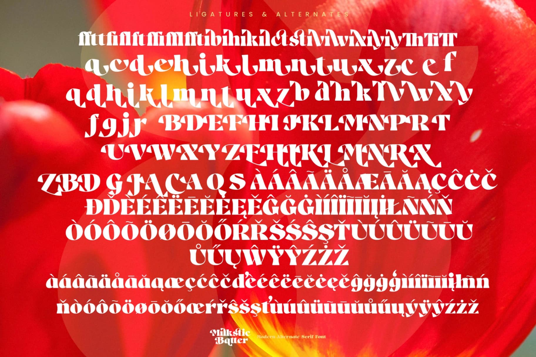 Preview 19 for Milkstic Batter - Modern Alternate Serif Font