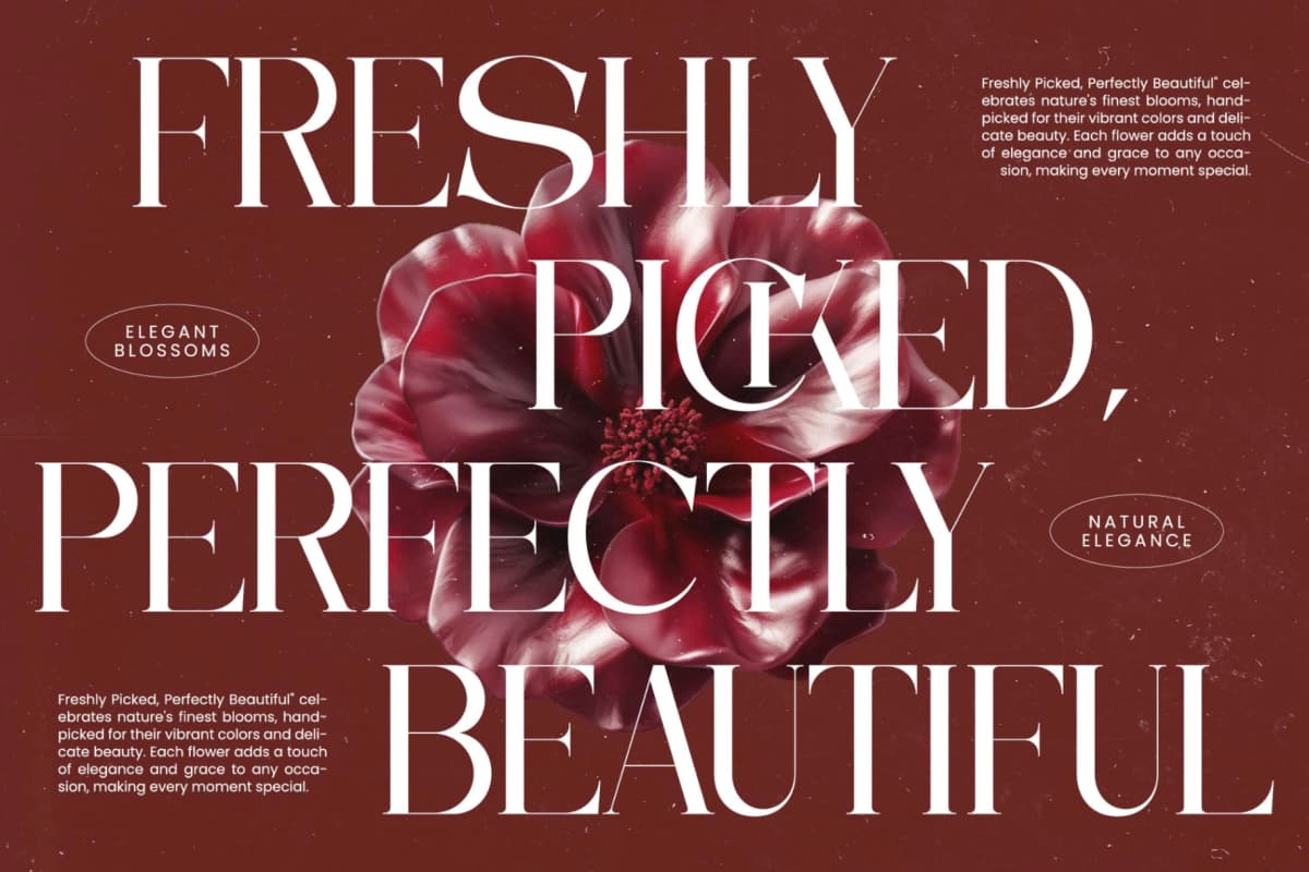 Moonlit Charm - All Caps Serif Display font preview 12