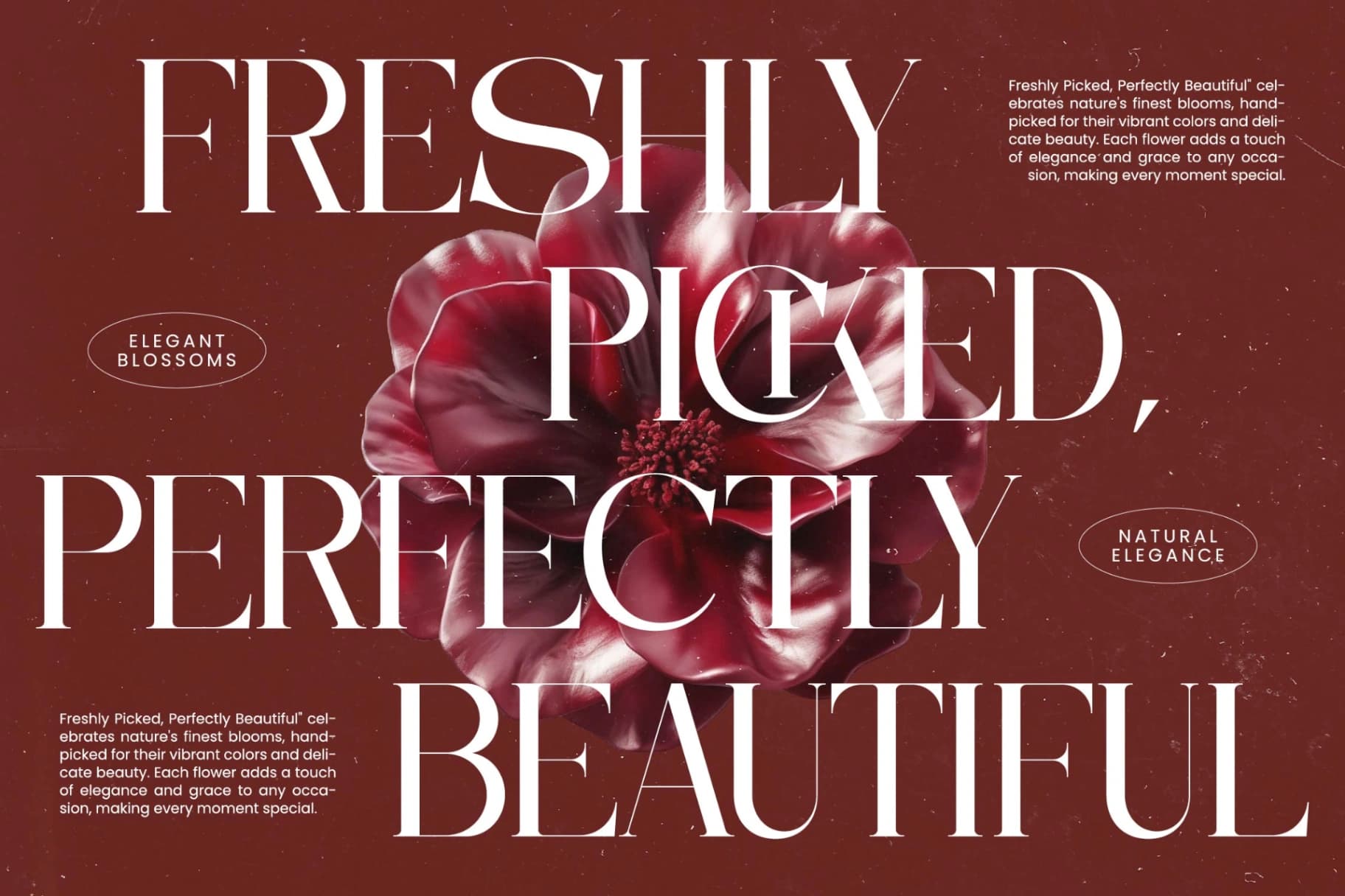 Preview 12 for Moonlit Charm - All Caps Serif Display