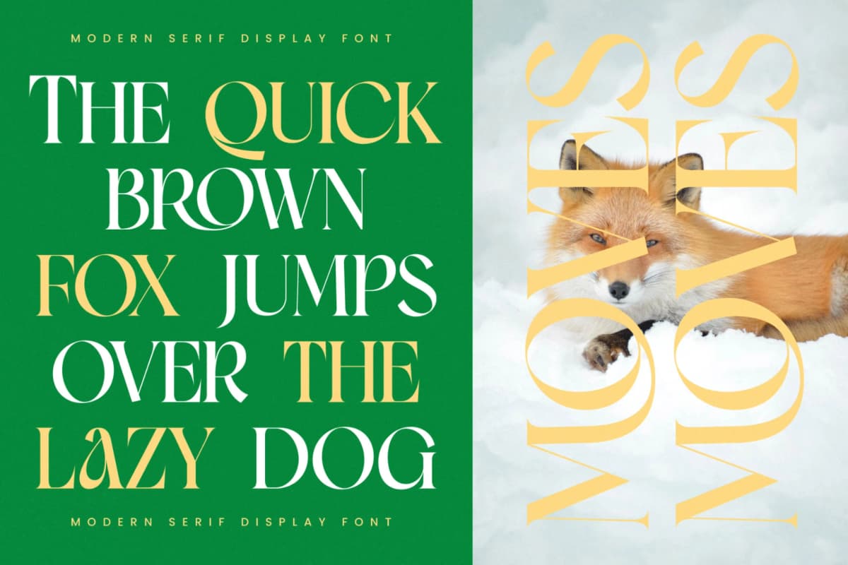 Moves Cabse - Modern Serif Display Font font preview 7