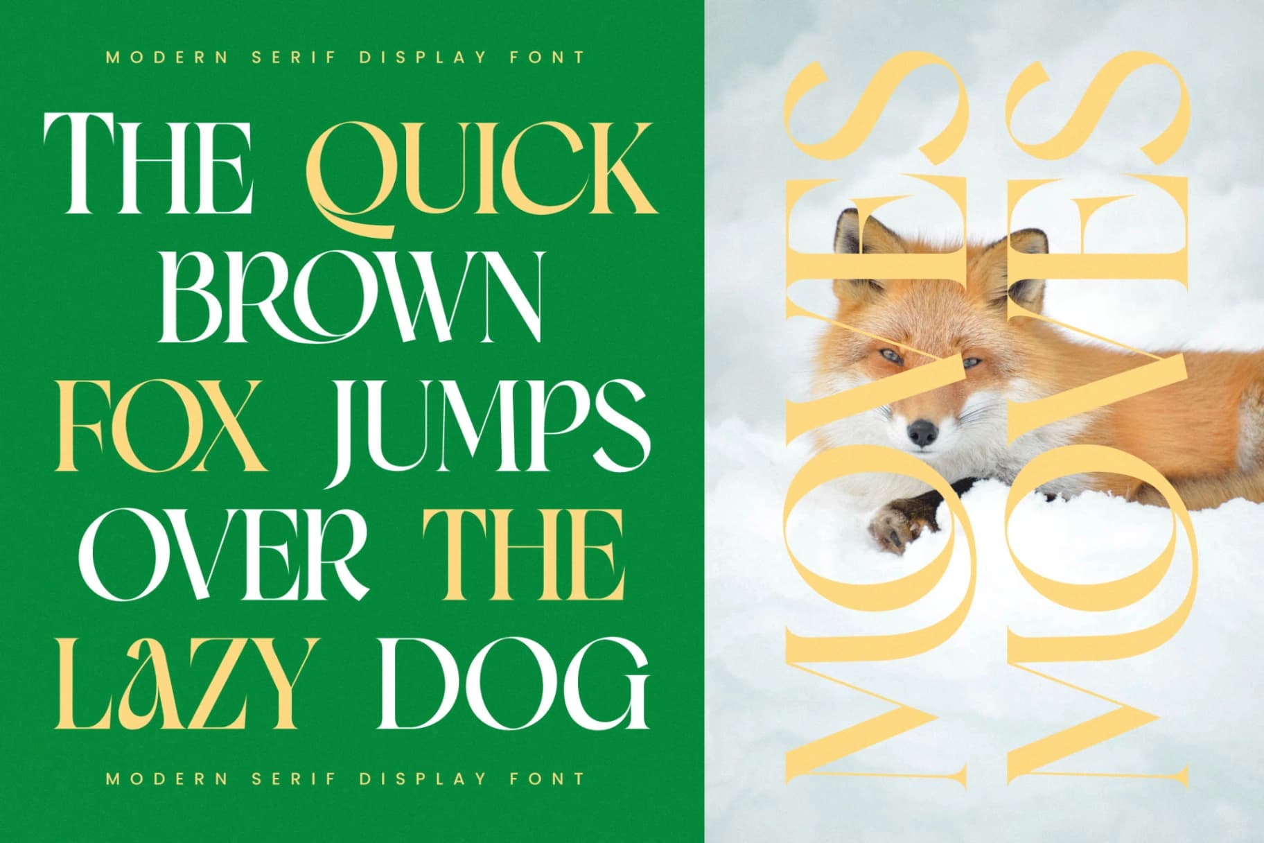 Preview 7 for Moves Cabse - Modern Serif Display Font