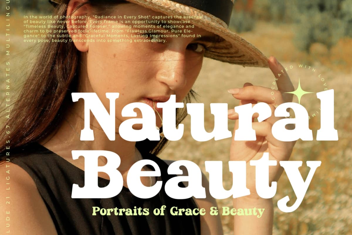 Parfect Silent - Modern Bold Serif Font font preview 3
