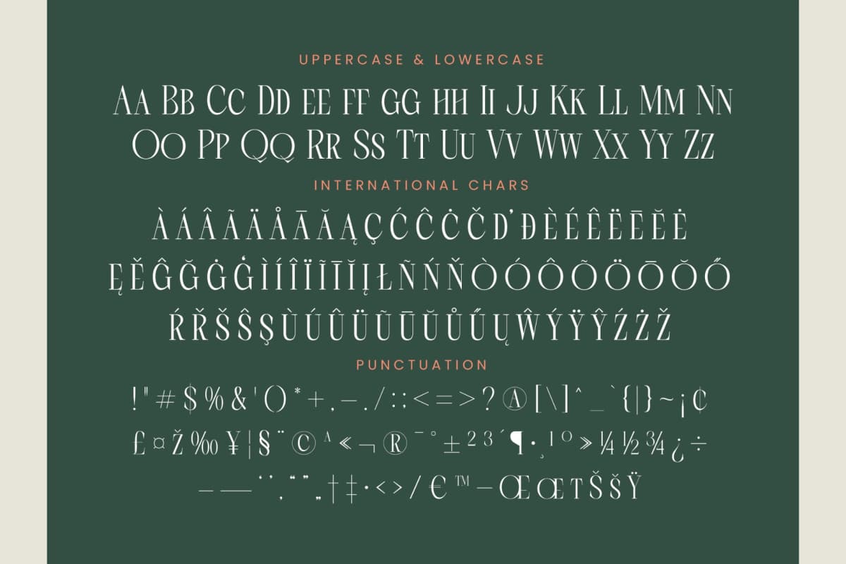 Scarfi Modern - All Caps Serif Display Font font preview 19