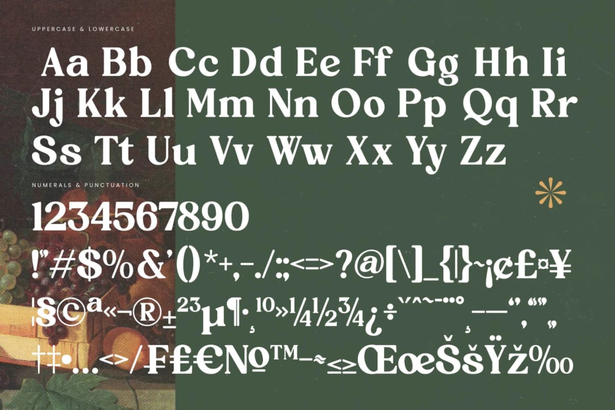 Rustic Delight - Bold Serif Display Font font preview 18