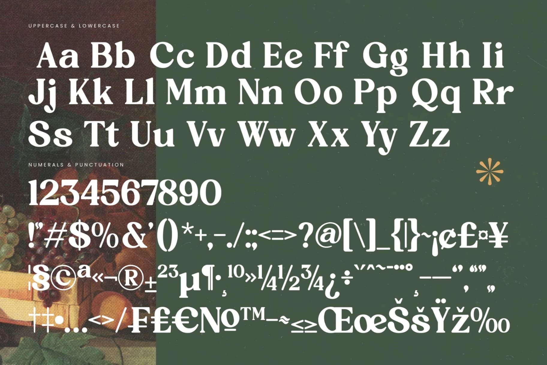 Preview 18 for Rustic Delight - Bold Serif Display Font